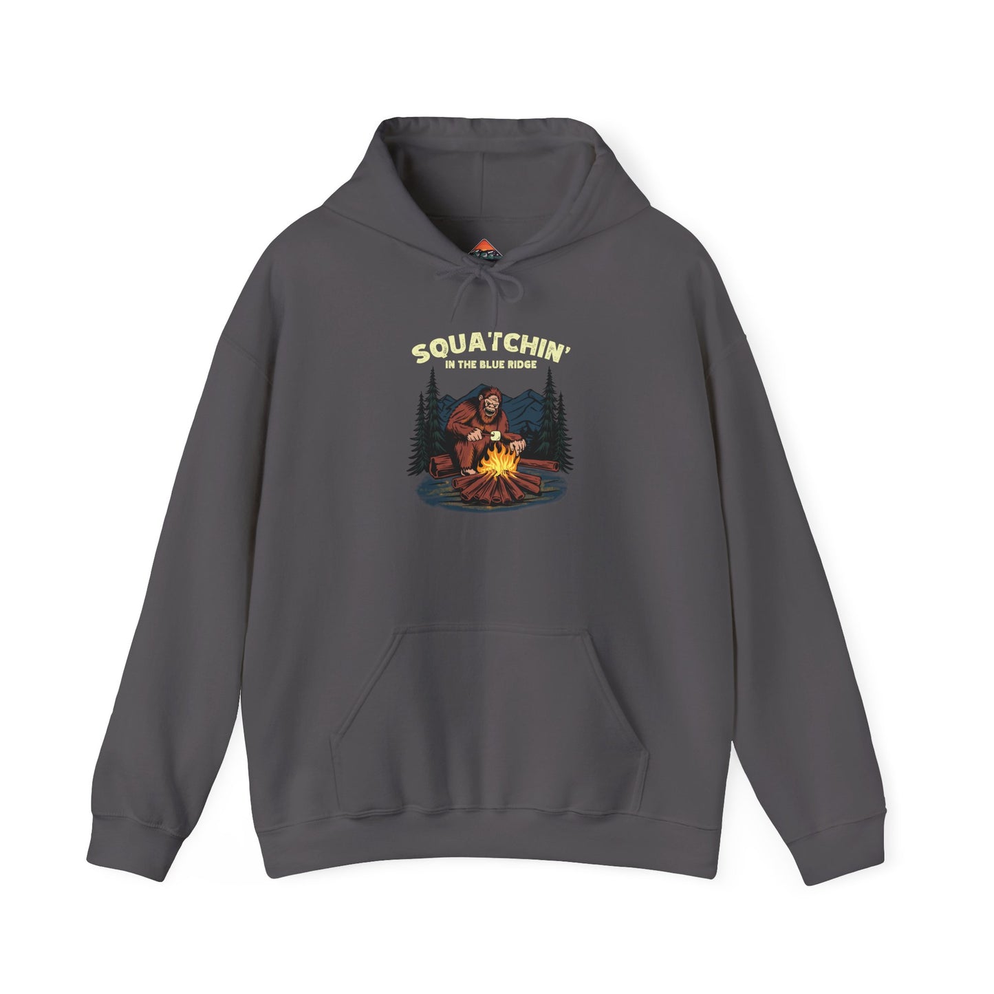 π₯ Squatchin' in the Blue Ridge Men's Hoodie β Everyday Wear Edition