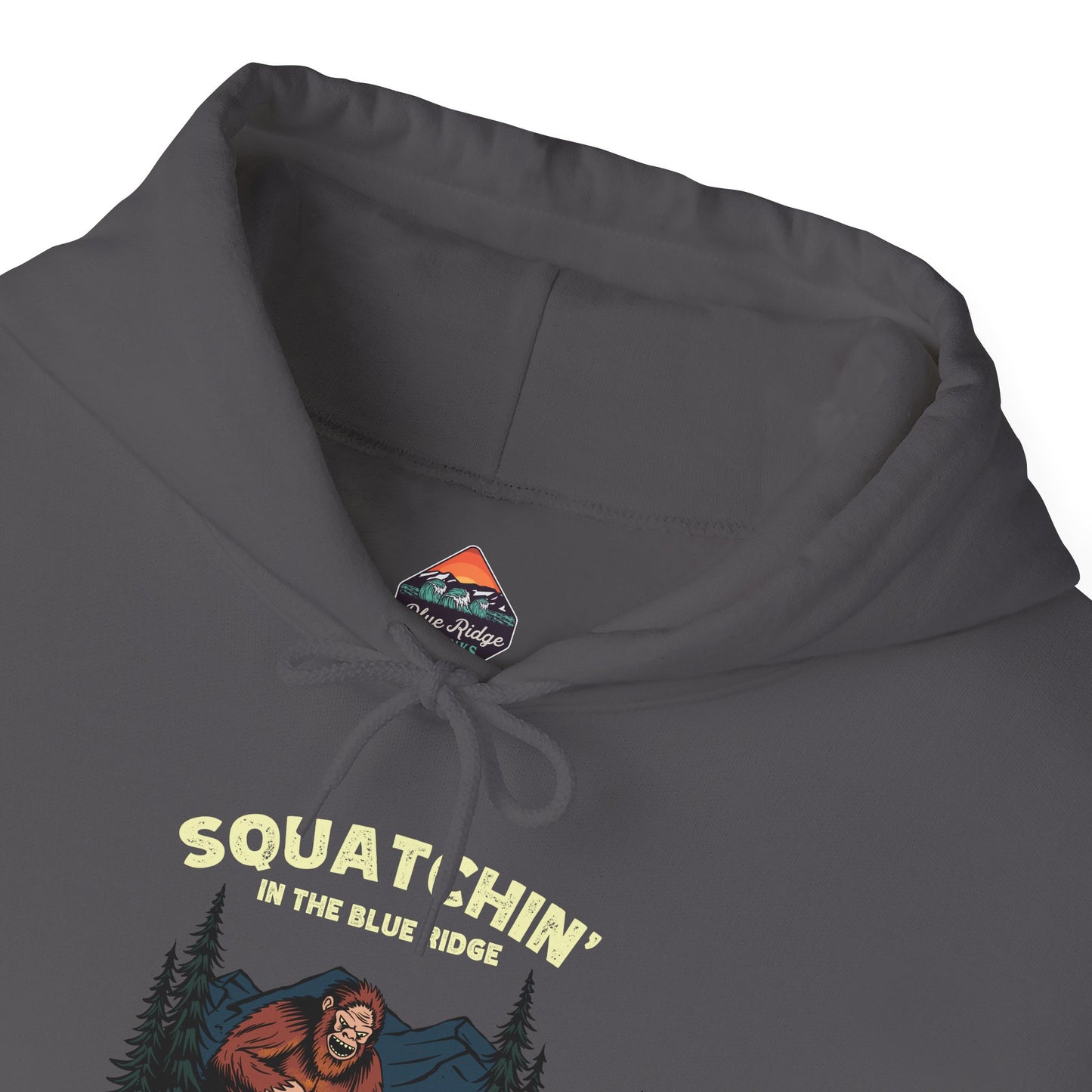 π₯ Squatchin' in the Blue Ridge Men's Hoodie β Everyday Wear Edition