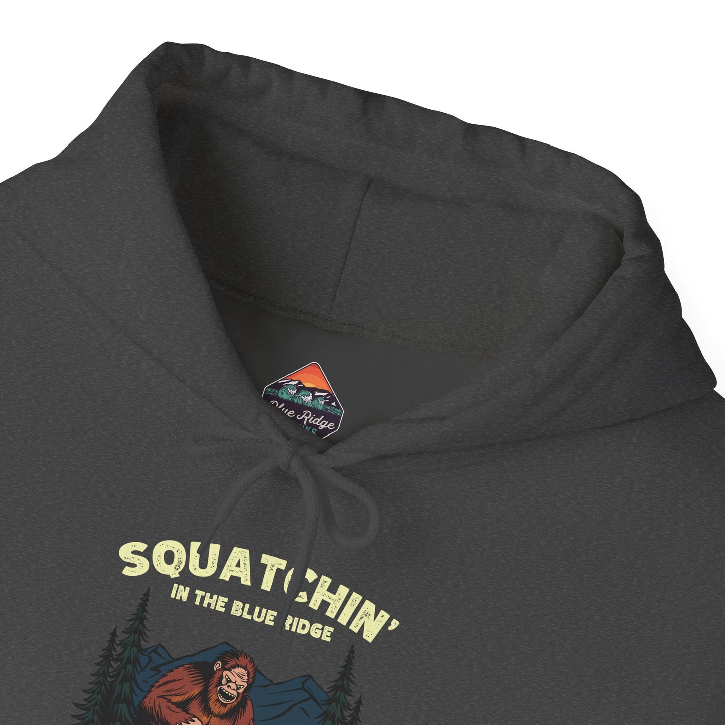 Squatchin' in the Blue Ridge Hoodie