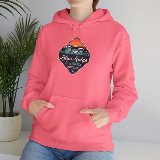 🔥 Blue Ridge & Banks Women's Hoodie – Everyday Wear Edition